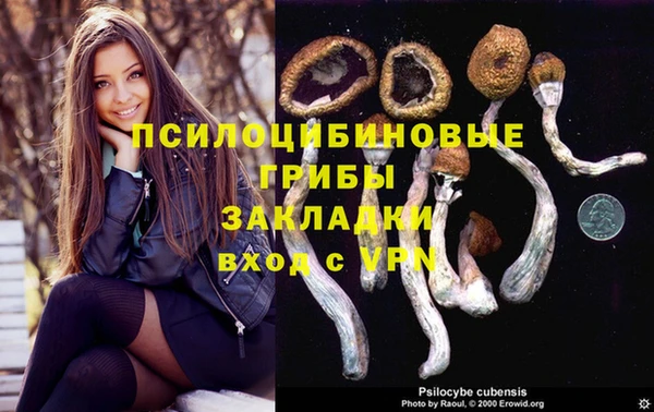 хмурый Семилуки