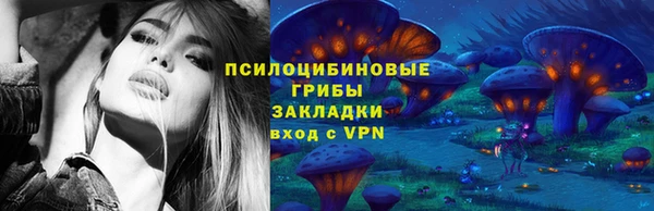 стафф Абинск