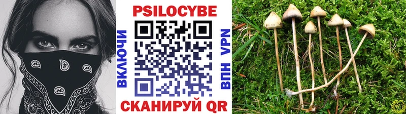 где купить наркотик  Ак-Довурак  Галлюциногенные грибы прущие грибы 